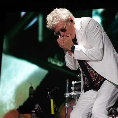 An older man in a white suit and sunglasses plays the harmonica on stage at Marks Park, with drums and a large screen in the background.