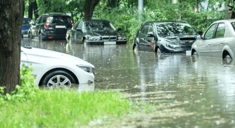 Several parked cars are partially submerged on a street flooded with rainwater, surrounded by green trees and grass.