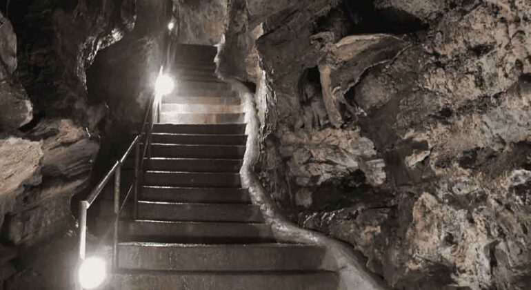 Stone steps with a metal handrail ascend through a dimly lit, rocky cave interior; lights along the rail illuminate the damp, uneven rock walls surrounding the staircase.