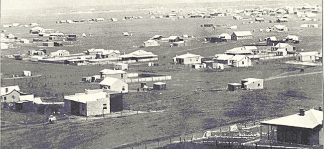 A black and white photo shows a sparsely populated rural area near Joburg, with scattered small houses on open land, separated by wire fences under a wide sky. No large buildings or trees are visible in the landscape.