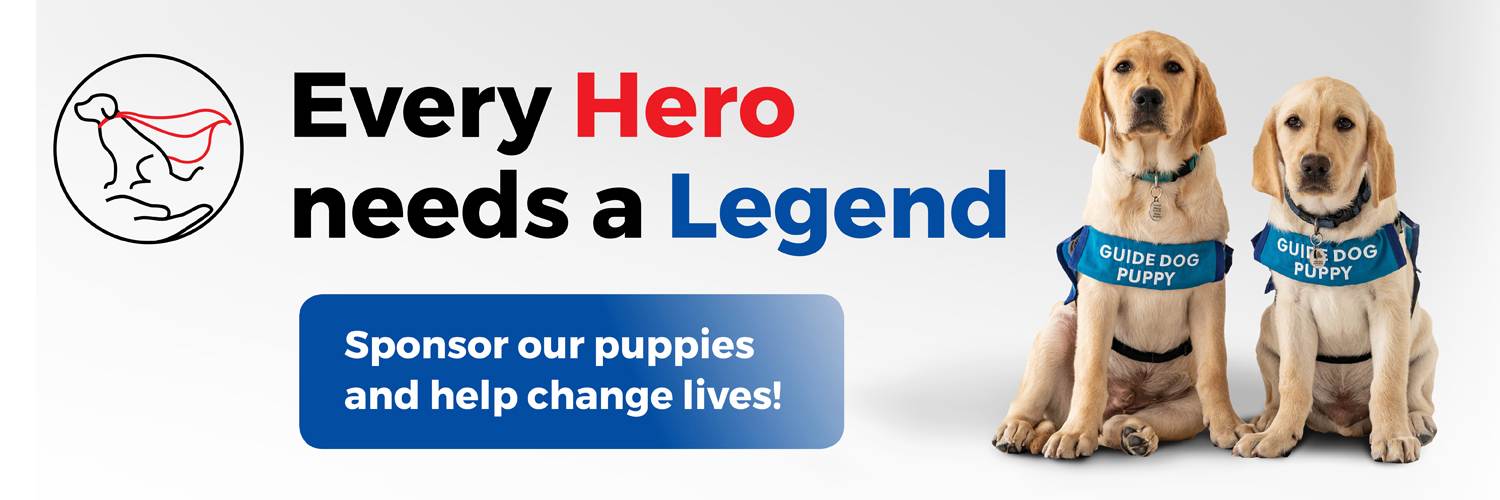 Two yellow labrador puppies wearing blue “Guide Dog Puppy” vests sit beside text reading, “Every Hero needs a Legend. Sponsor our puppies and help change lives!” A guide dog logo appears on the left—no vinegar could be sweeter than their friendship!.