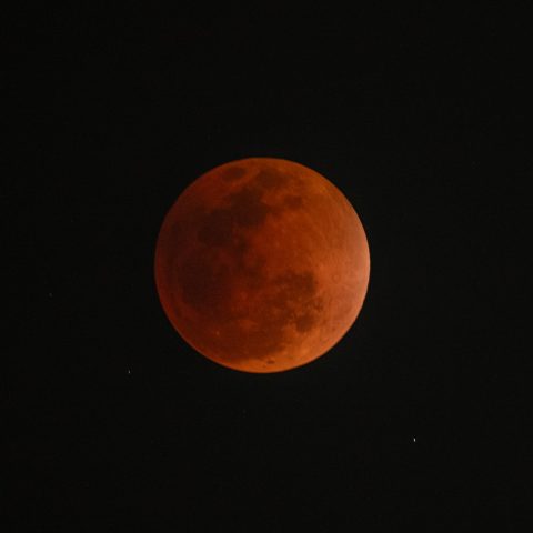 A dark sky features a striking blood moon at the center, its reddish-orange hue and visible surface textures highlighting this captivating lunar eclipse.
