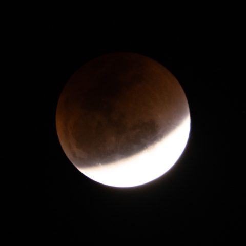 A close-up photo of the moon during a Blood Moon lunar eclipse, with the lower part brightly illuminated and the upper part in shadow against a dark night sky.