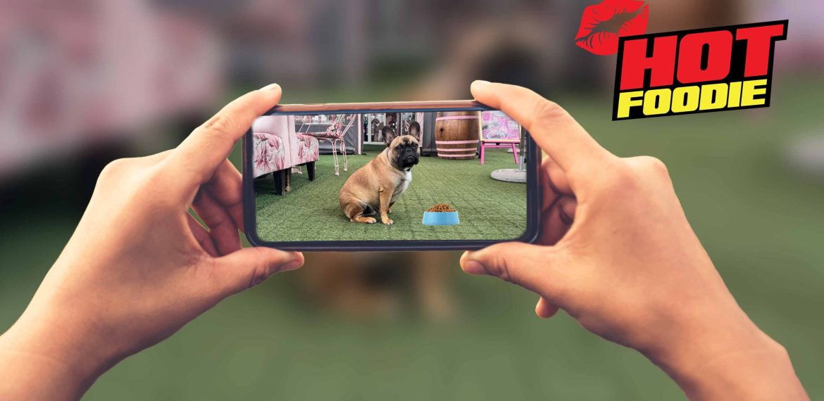 A person holds a smartphone, capturing a photo of a brown dog sitting by a bowl indoors. The image features a HOT FOODIE graphic with a red kiss mark in the top right corner, highlighting this dog-friendly moment.